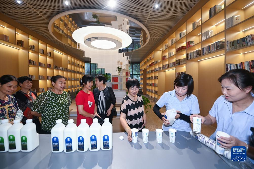 在线保皇